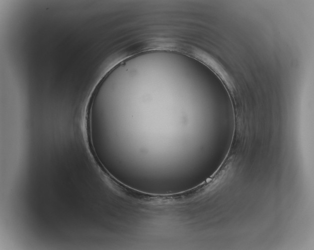 X0000102381050200808081133