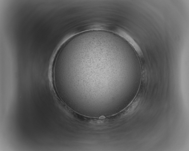 X0000102381051200808081133