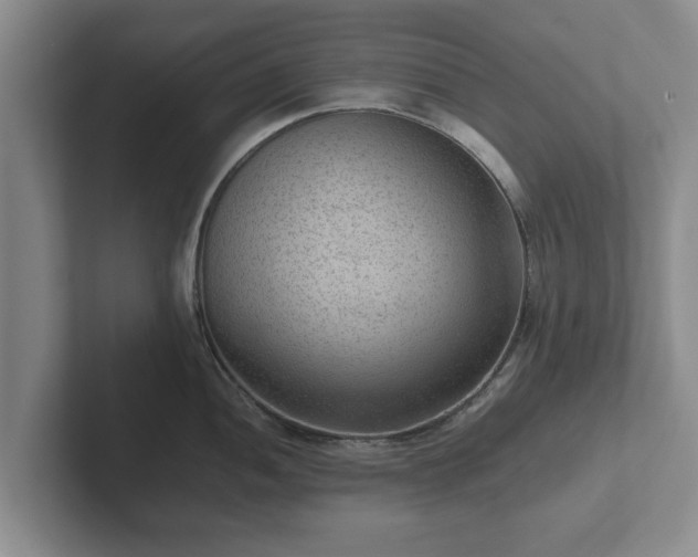 X0000102381052200808081133