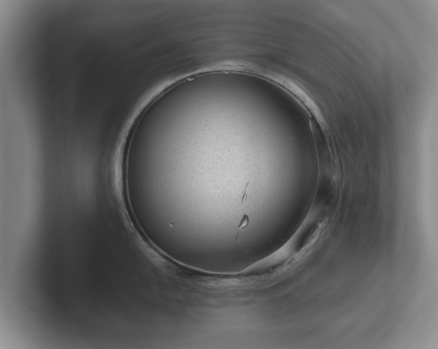 X0000102381054200808081133