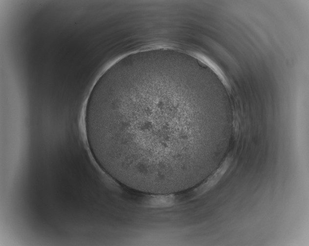 X0000102381055200808081133
