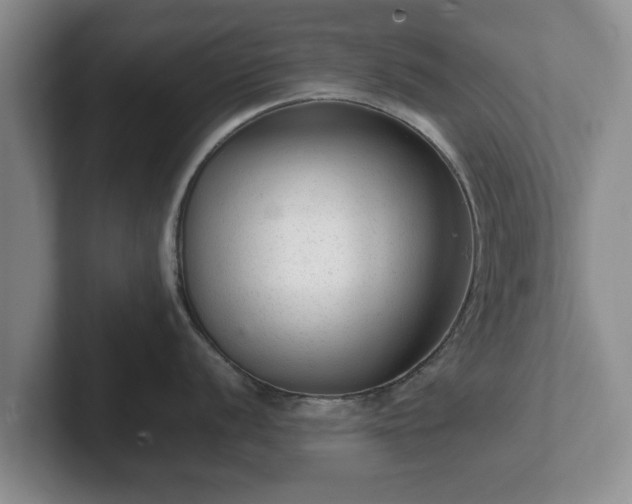 X0000102381056200808081133
