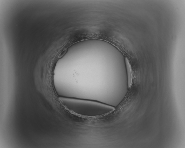 X0000102381057200808081133