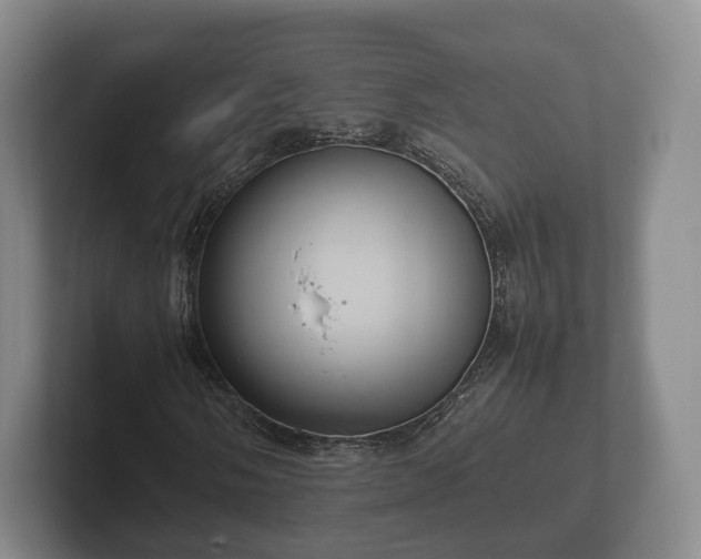 X0000102381058200808081133
