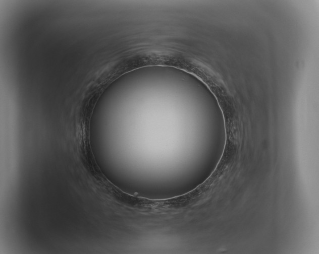 X0000102381061200808081133