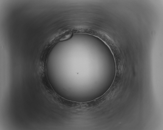 X0000102381062200808081133