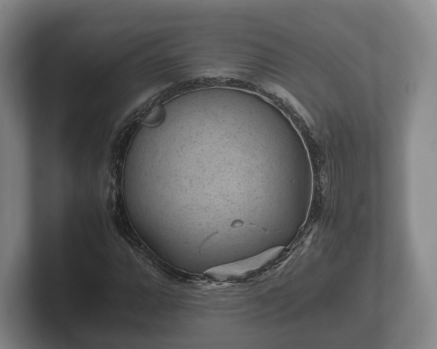 X0000102381064200808081133