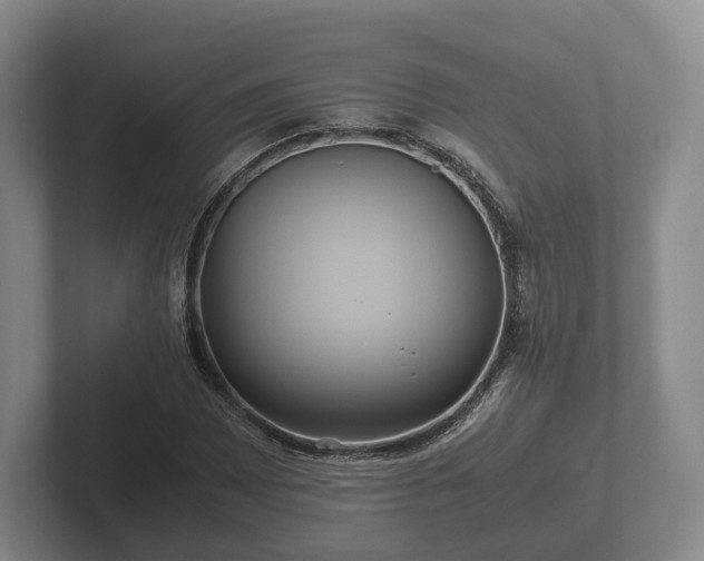 X0000102381065200808081133
