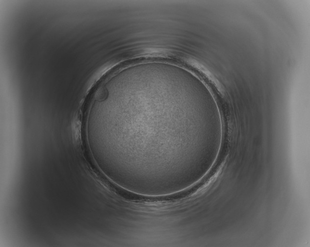 X0000102381066200808081133