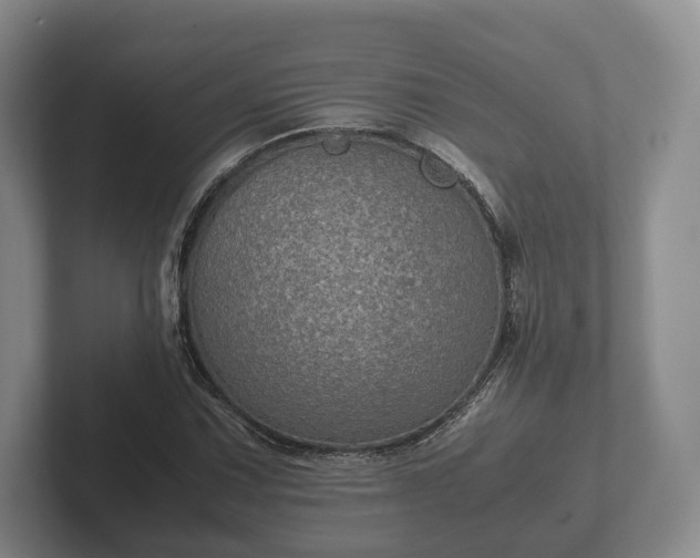 X0000102381067200808081133