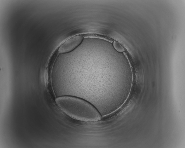 X0000102381069200808081133