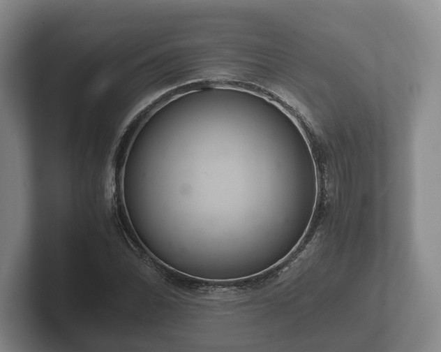 X0000102381070200808081133
