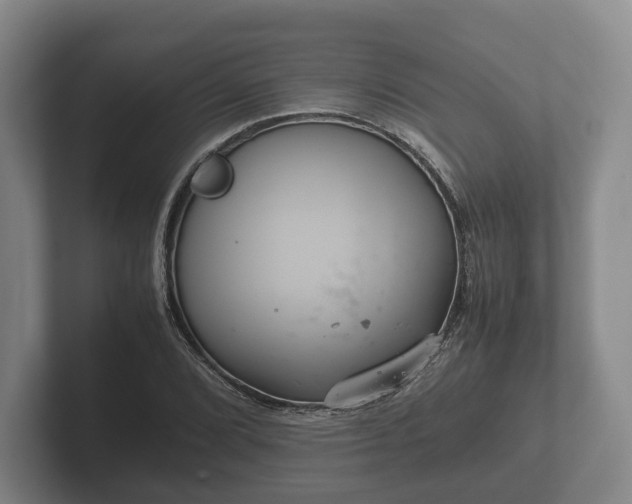 X0000102381072200808081133