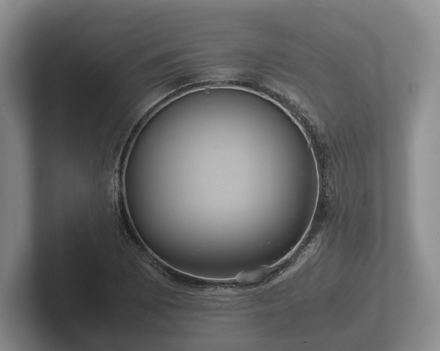 X0000102381073200808081133