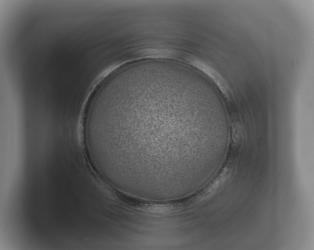 X0000102381074200808081133