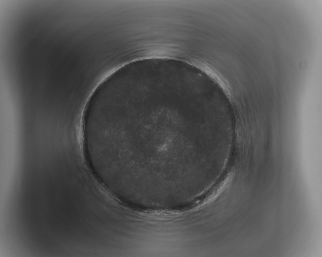 X0000102381077200808081133