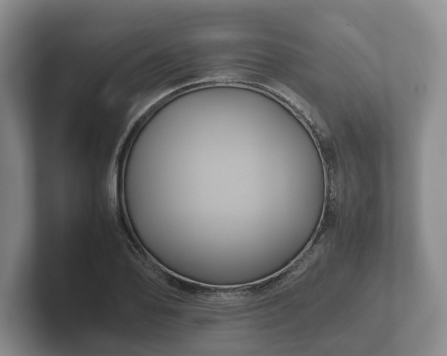 X0000102381078200808081133