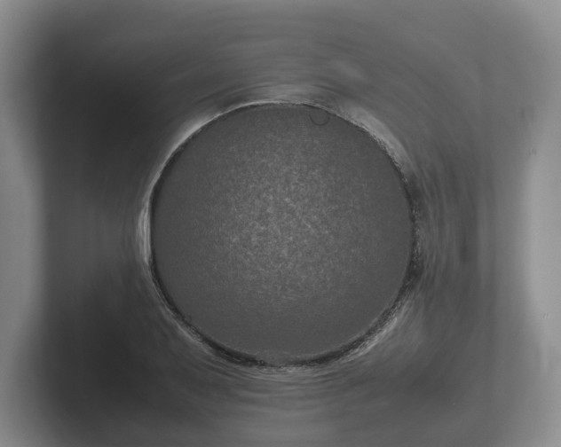X0000102381079200808081133