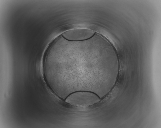 X0000102381080200808081133