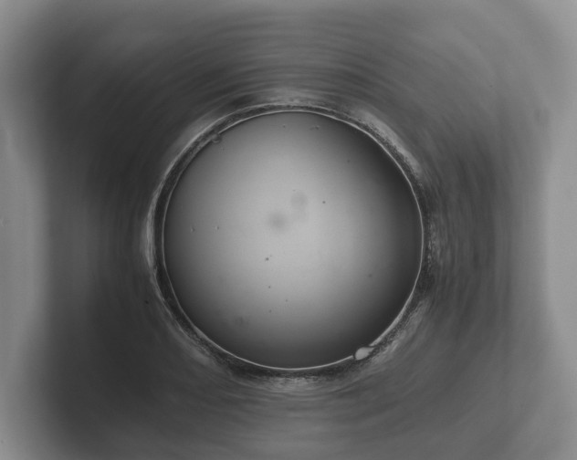 X0000102381082200808081133