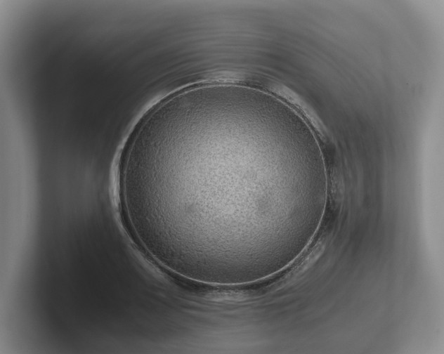 X0000102381083200808081133