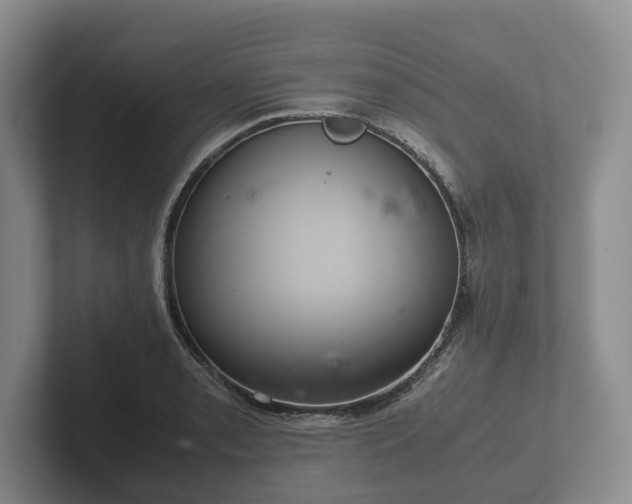 X0000102381085200808081132