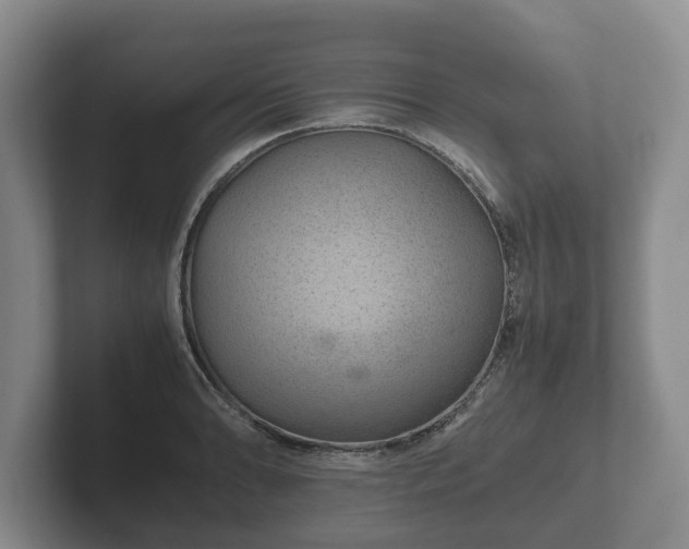 X0000102381086200808081132