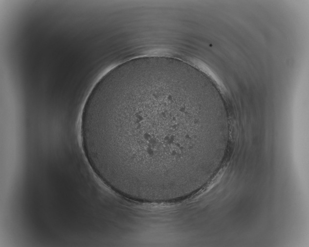 X0000102381087200808081132