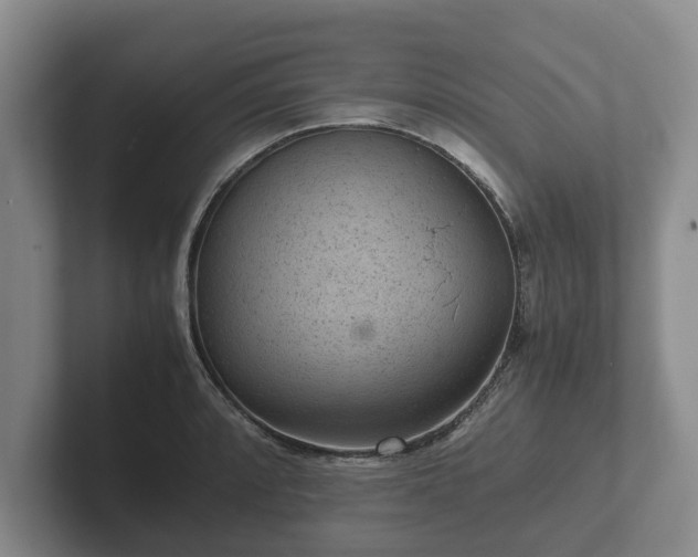 X0000102381088200808081132