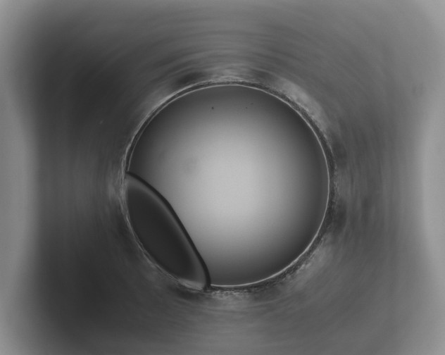 X0000102381089200808081132