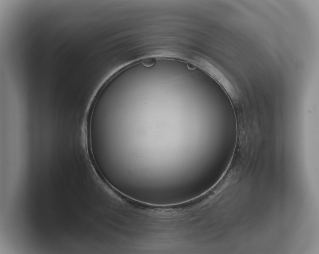 X0000102381092200808081132