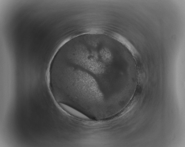 X0000102381095200808081132