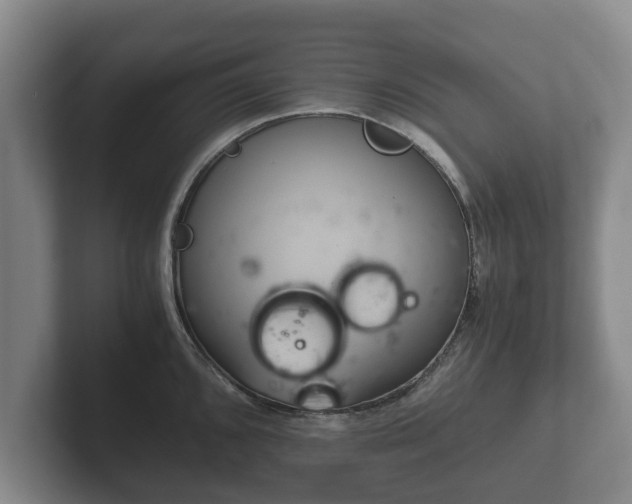 X0000102381096200808081132