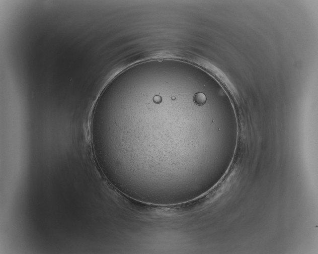 X0000102381097200808081132