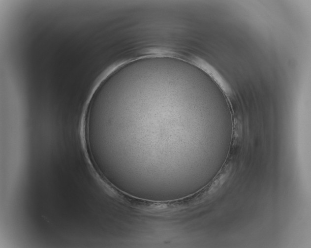 X0000102381098200808081132