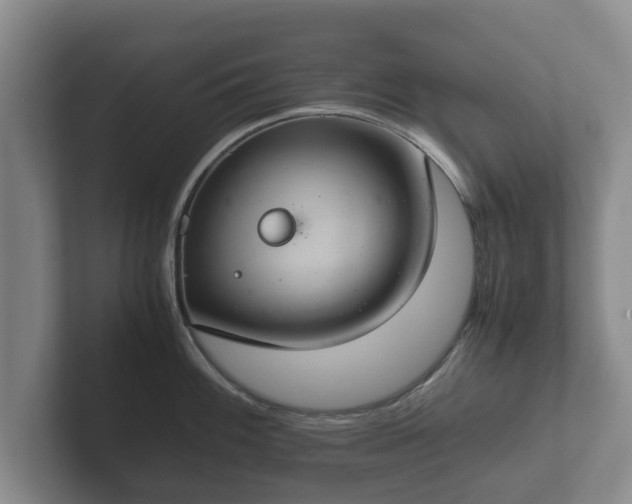 X0000102381100200808081132