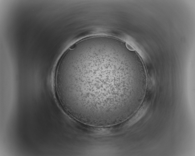 X0000102381101200808081132