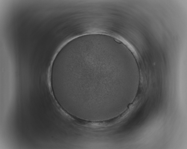 X0000102381102200808081132