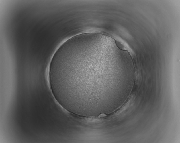 X0000102381103200808081132