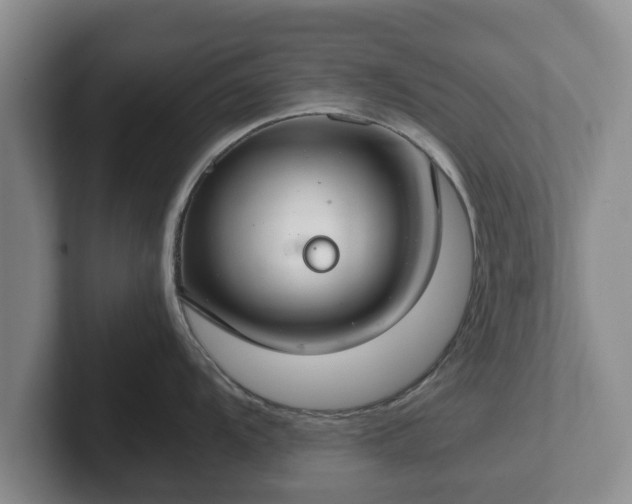 X0000102381104200808081132