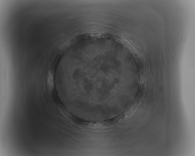X0000102381106200808081132