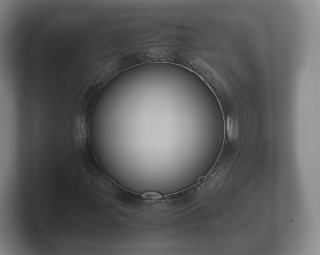 X0000102381107200808081132