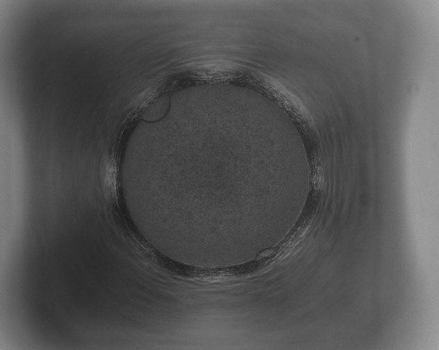 X0000102381108200808081132