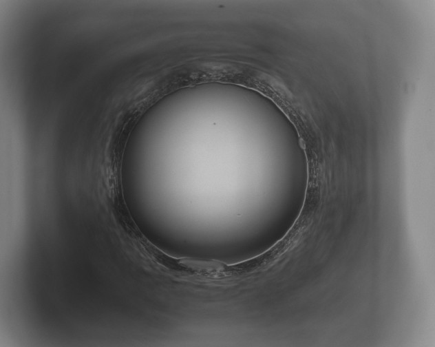 X0000102381109200808081132