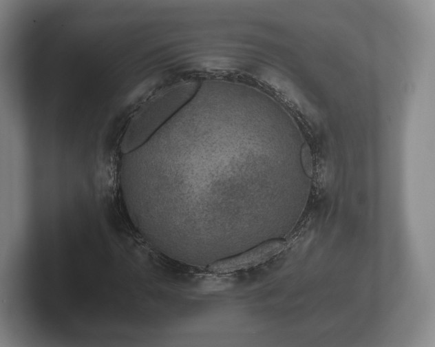 X0000102381110200808081132