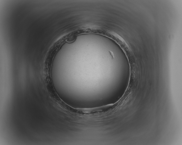 X0000102381112200808081132