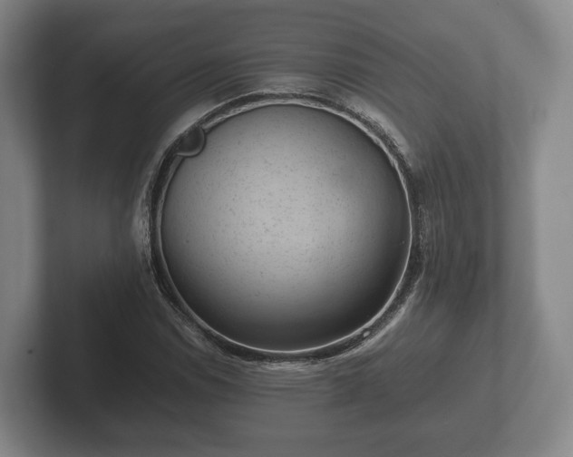 X0000102381114200808081132