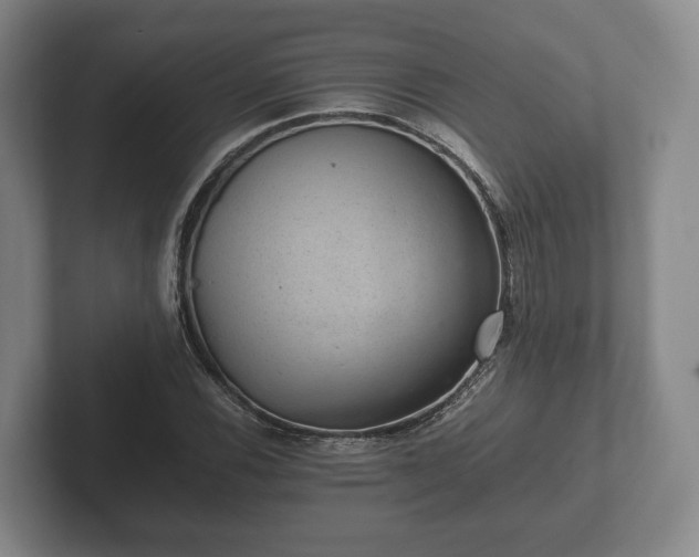 X0000102381116200808081132