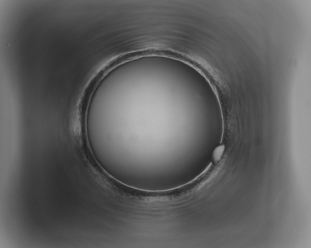 X0000102381118200808081132