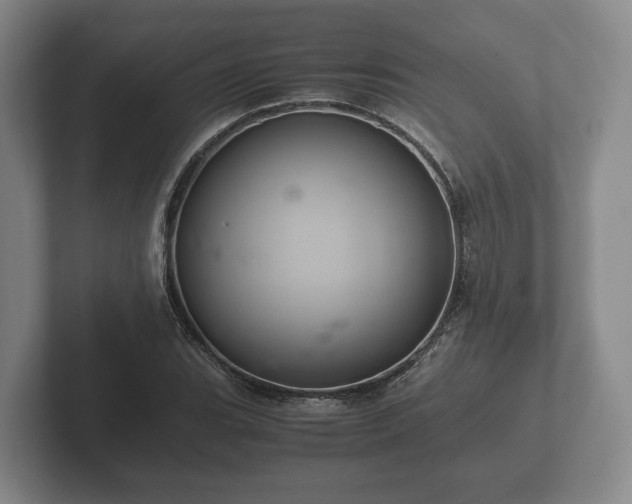 X0000102381119200808081132